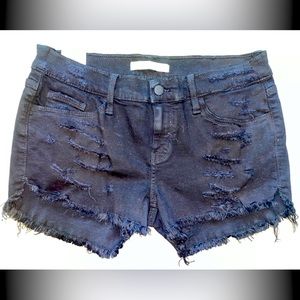 Daytrip shorts